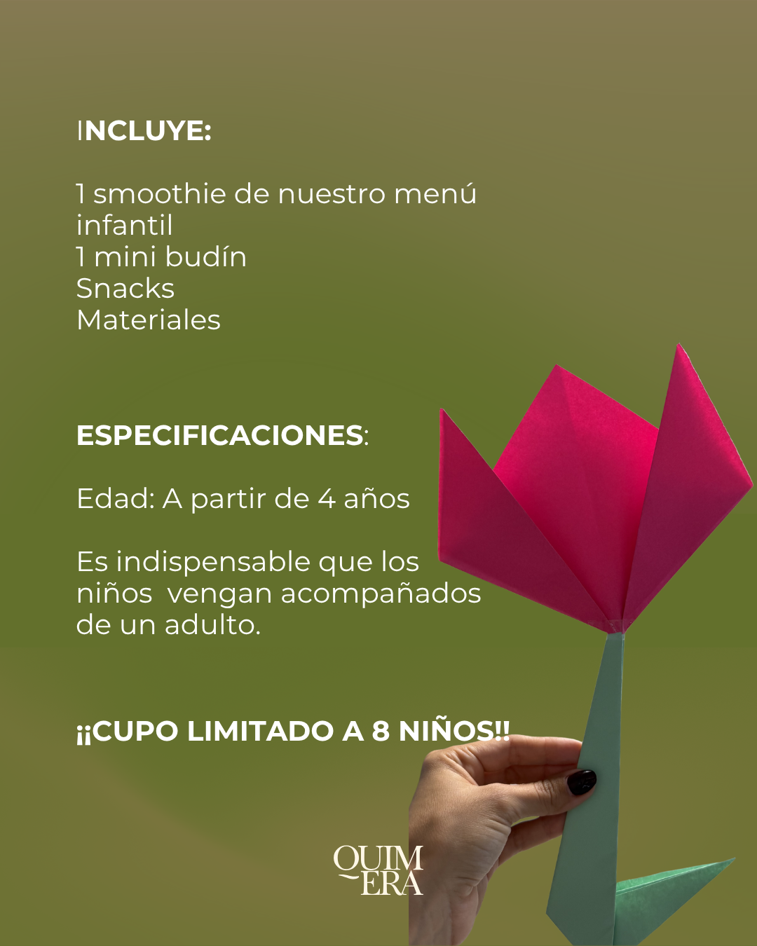 TALLER PAPIROFLEXIA
