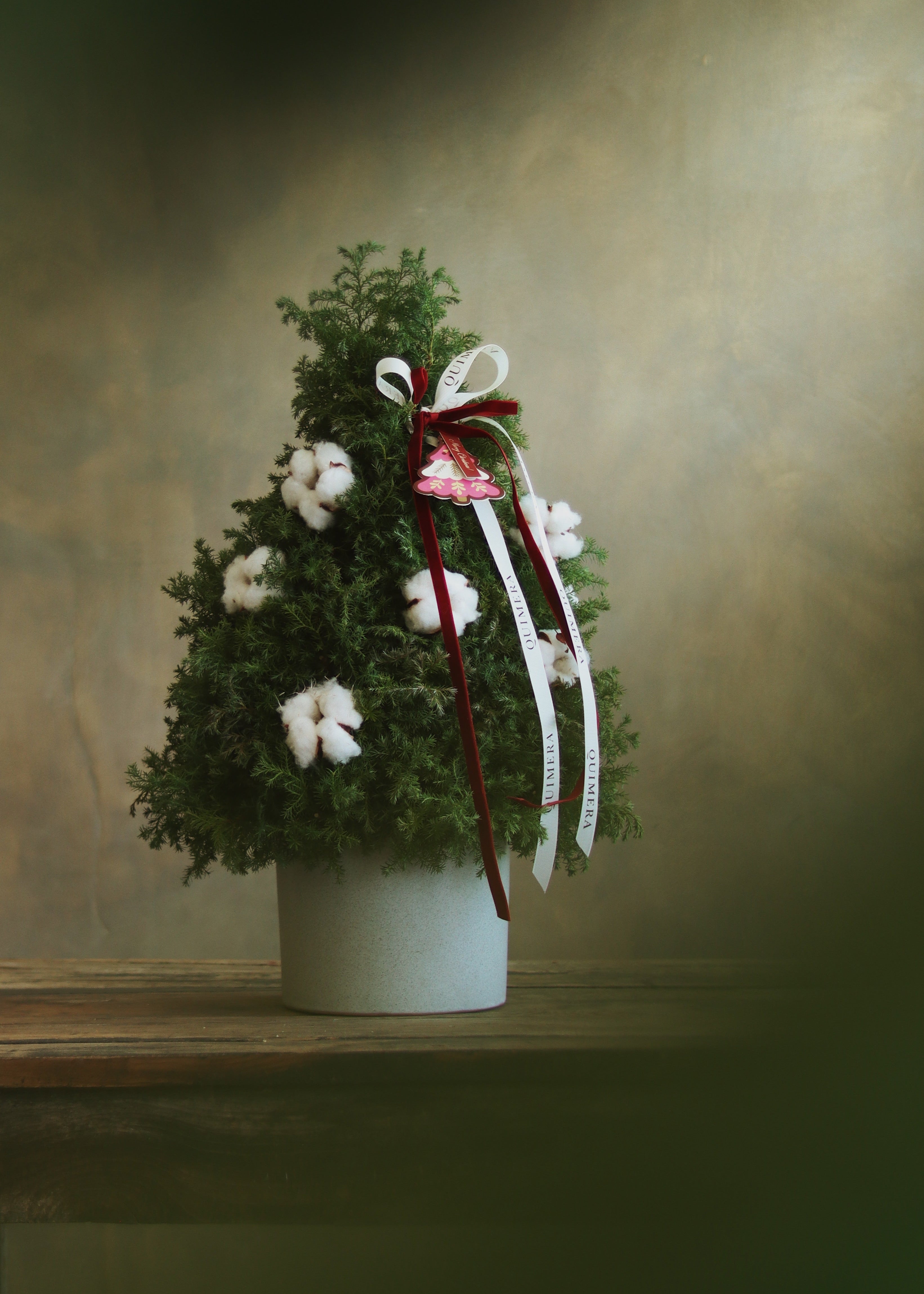 TALLER: PINOS NAVIDEÑOS