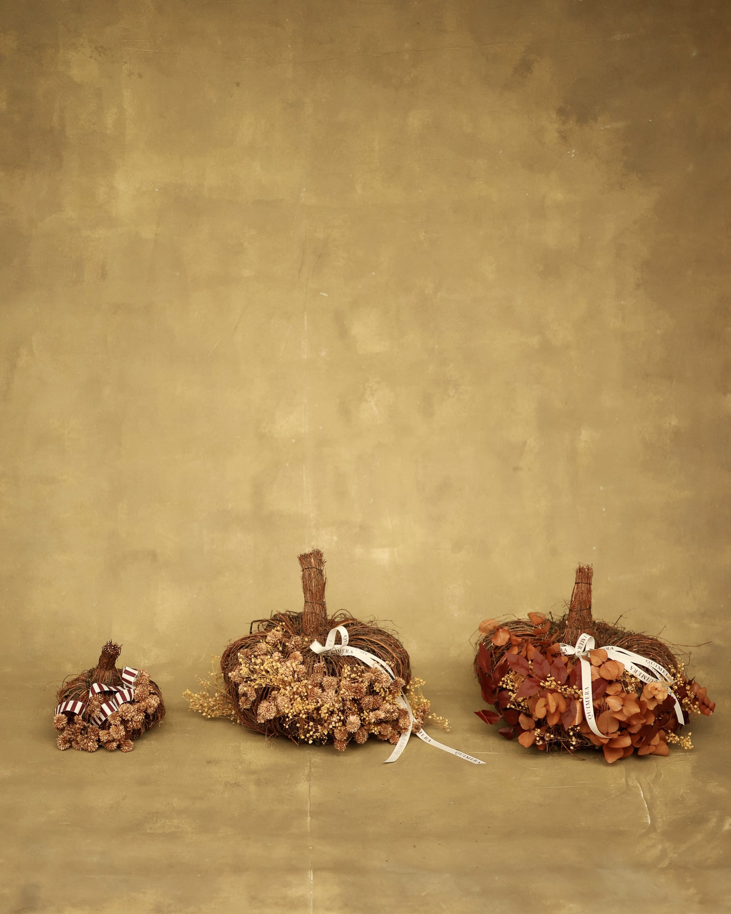 SET DE CALABAZAS AUTUMN