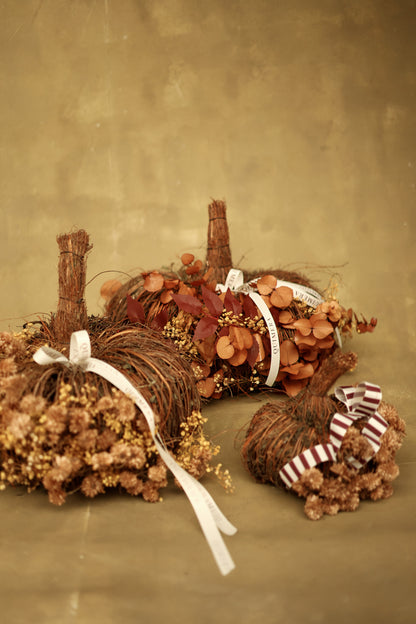 SET DE CALABAZAS AUTUMN