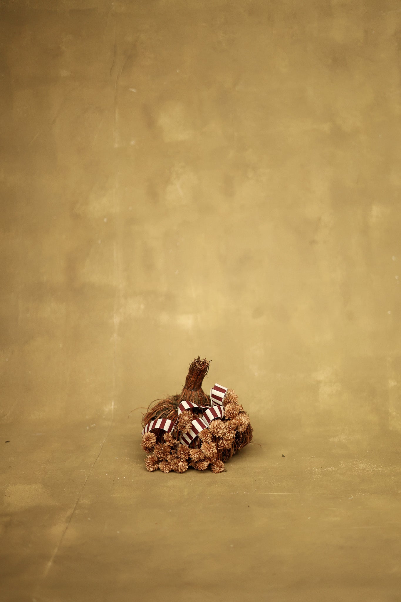 SET DE CALABAZAS AUTUMN