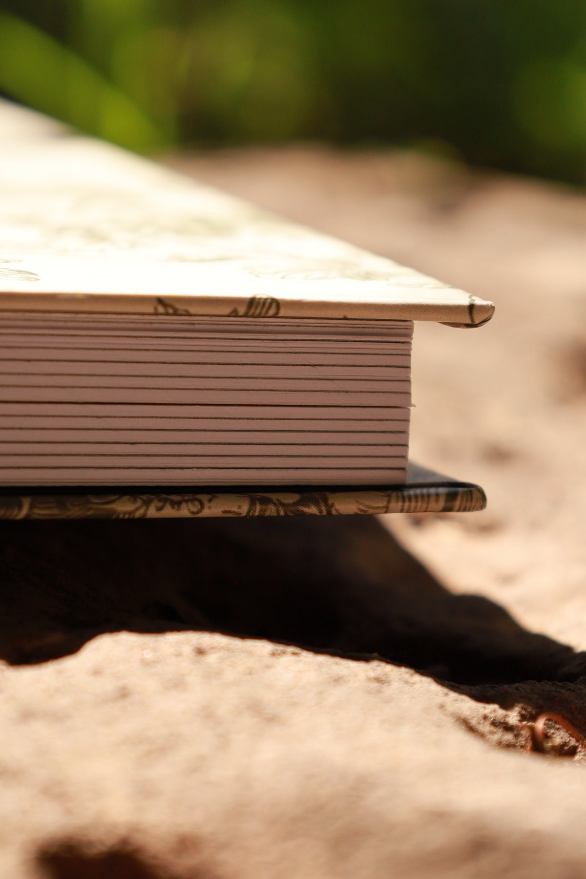 AGENDA 2027 MAGNOLIA