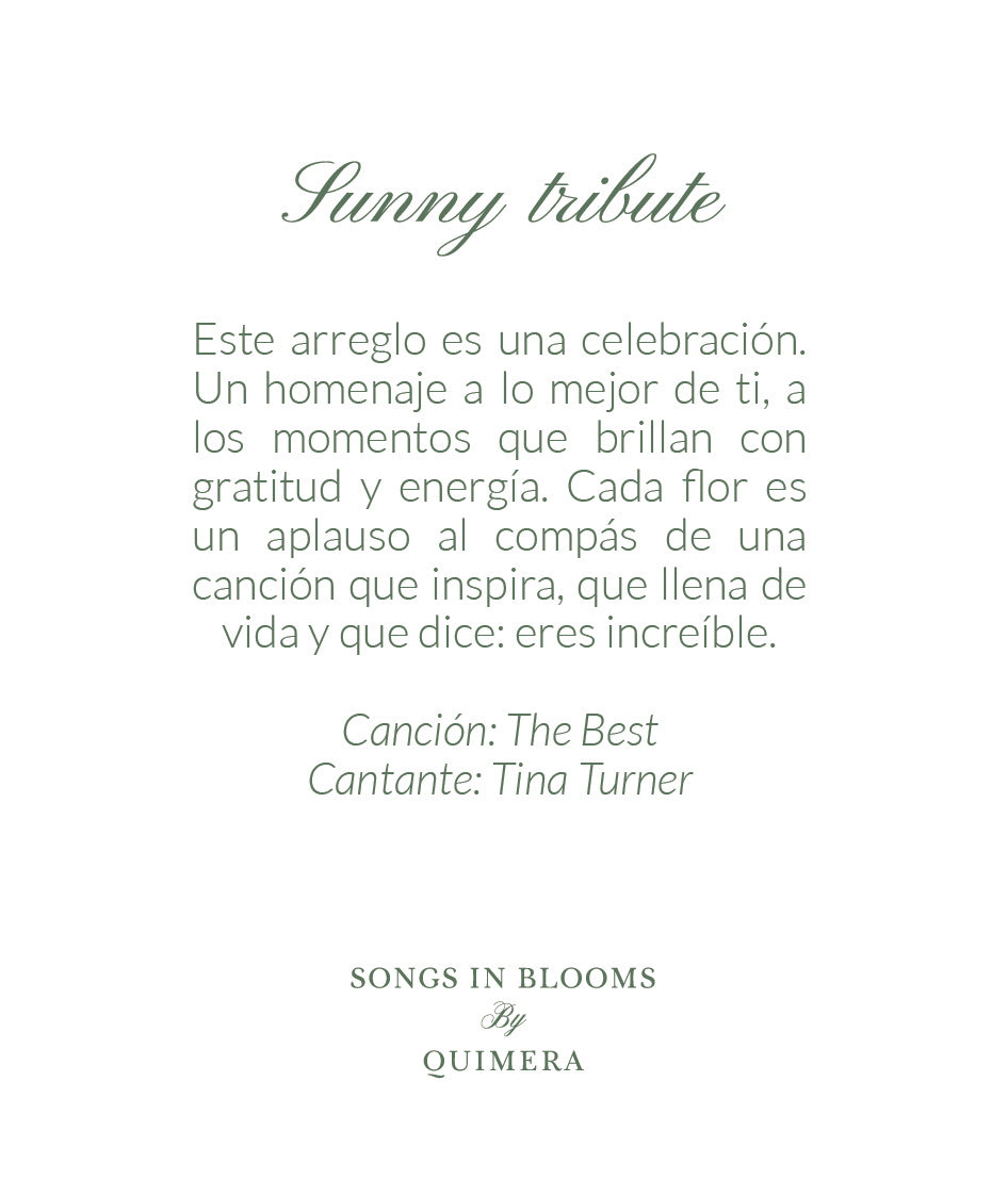 SUNNY TRIBUTE (Positivismo, agradecimiento y reconocimiento)