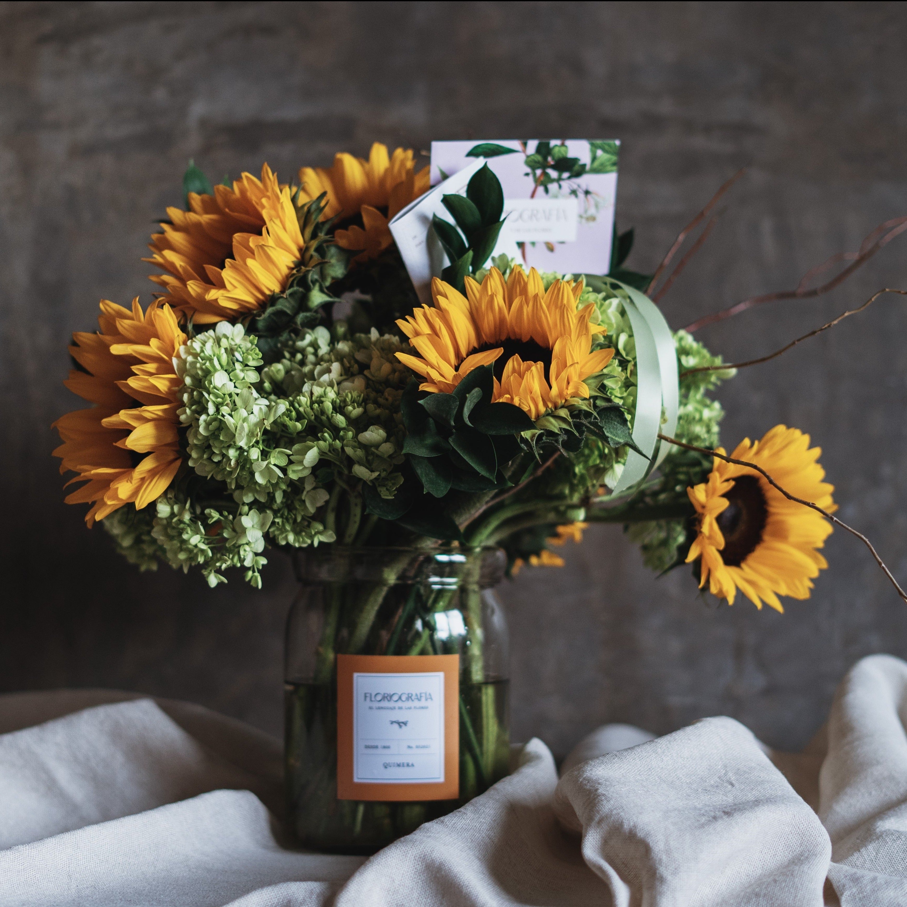 MRS. ELEANOR (Positivismo)