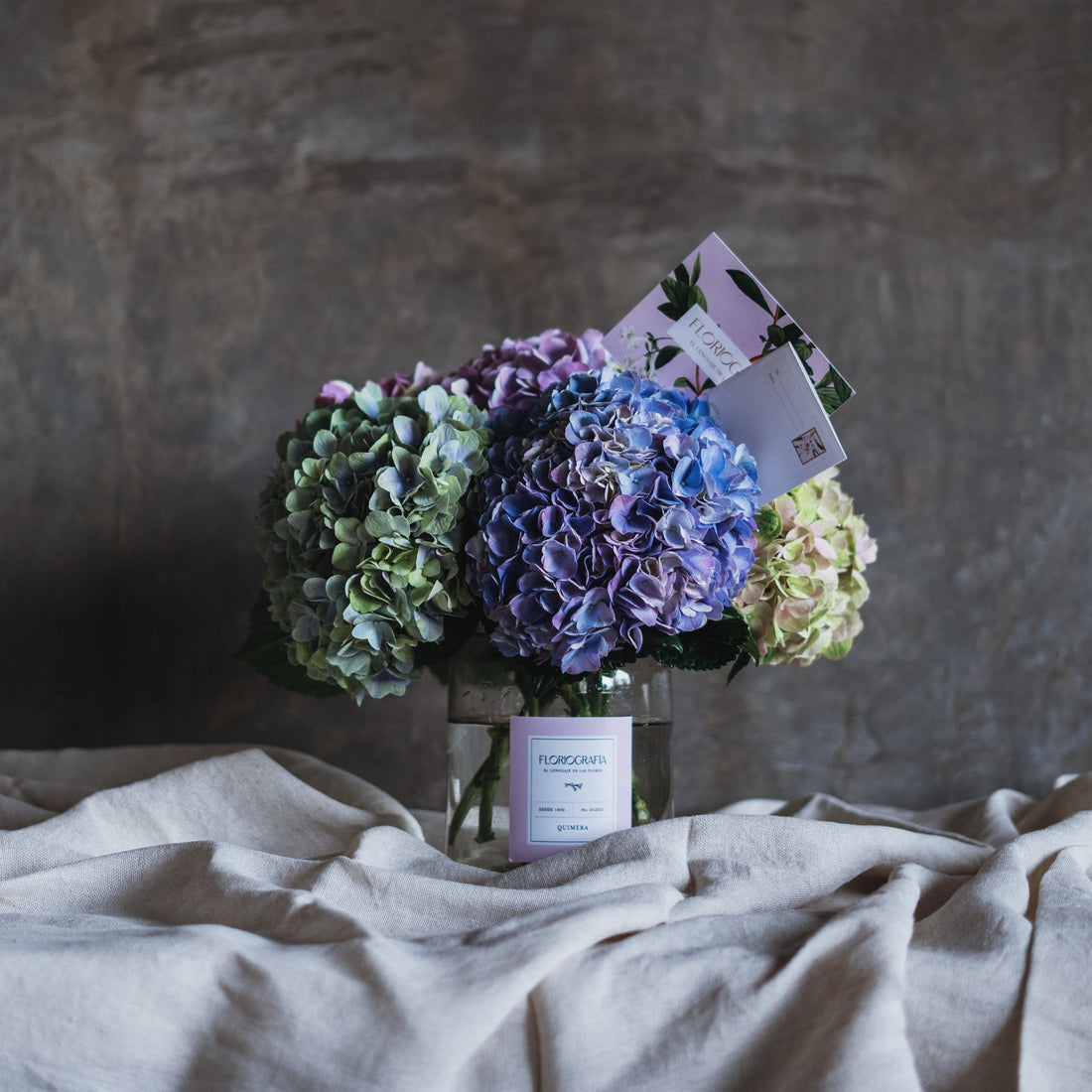 MRS. OTILIA (Sinceridad y agradecimiento)