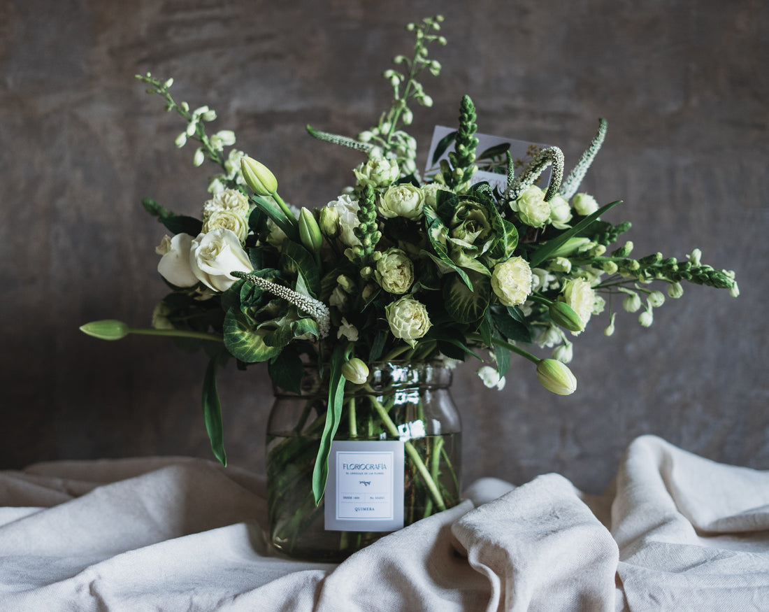 MRS. SOPHRONIA (Paz, pureza y franqueza)